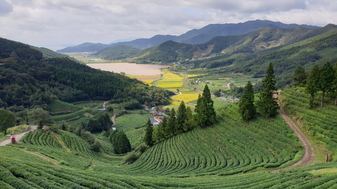 Golmangtae Pension Villa Boseong Ngoại thất bức ảnh